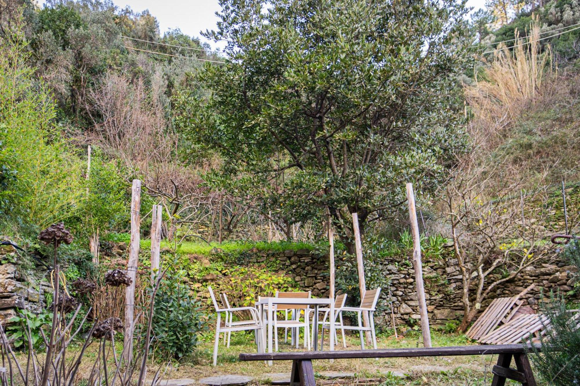 ורנאצה Il Limoneto Dei Cinque Sensi,Apartment With Garden מראה חיצוני תמונה